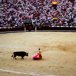 Bullfighting