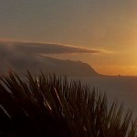 Madeira by Night